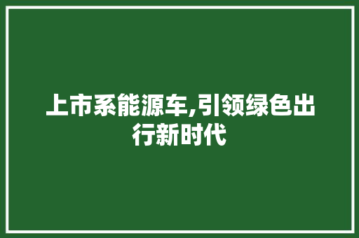 上市系能源车,引领绿色出行新时代