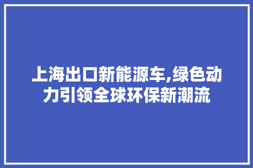 上海出口新能源车,绿色动力引领全球环保新潮流