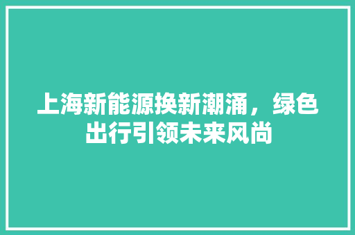 上海新能源换新潮涌，绿色出行引领未来风尚