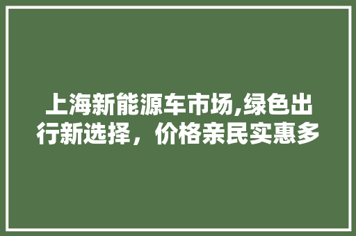 上海新能源车市场,绿色出行新选择，价格亲民实惠多
