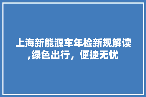 上海新能源车年检新规解读,绿色出行，便捷无忧