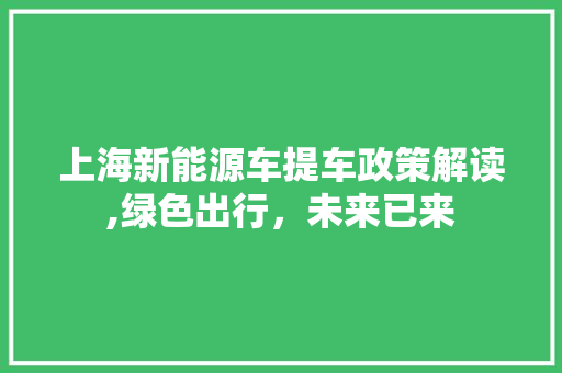 上海新能源车提车政策解读,绿色出行，未来已来