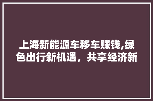 上海新能源车移车赚钱,绿色出行新机遇，共享经济新篇章