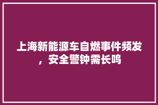上海新能源车自燃事件频发，安全警钟需长鸣