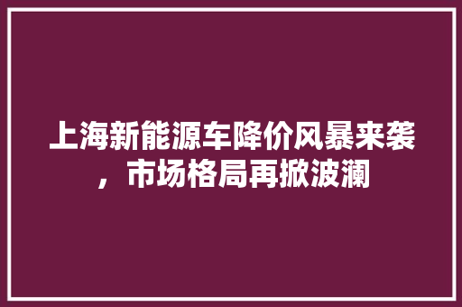 上海新能源车降价风暴来袭，市场格局再掀波澜