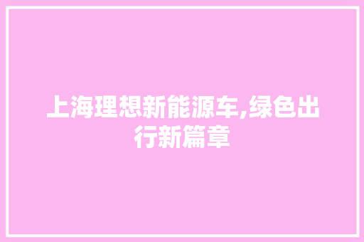 上海理想新能源车,绿色出行新篇章