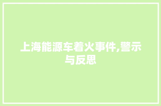 上海能源车着火事件,警示与反思