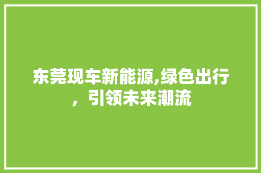 东莞现车新能源,绿色出行，引领未来潮流
