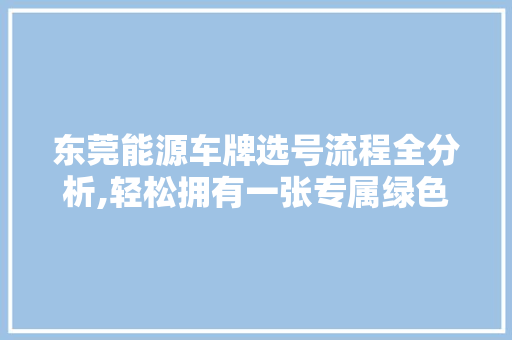 东莞能源车牌选号流程全分析,轻松拥有一张专属绿色通行证