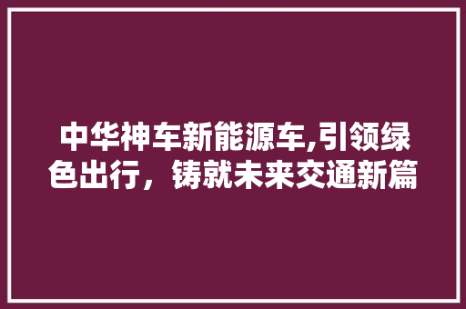 中华神车新能源车,引领绿色出行，铸就未来交通新篇章