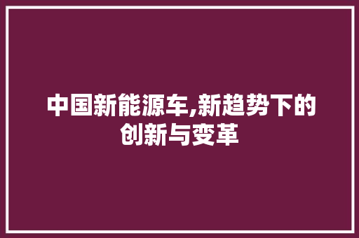 中国新能源车,新趋势下的创新与变革