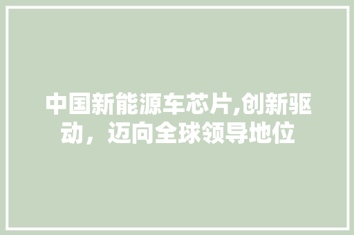 中国新能源车芯片,创新驱动，迈向全球领导地位
