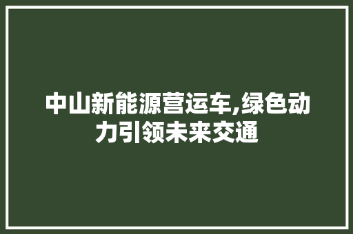 中山新能源营运车,绿色动力引领未来交通