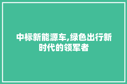 中标新能源车,绿色出行新时代的领军者