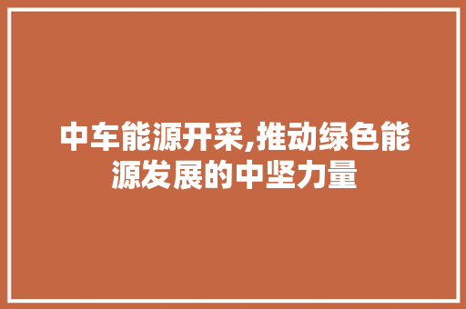 中车能源开采,推动绿色能源发展的中坚力量 蓄电池配件