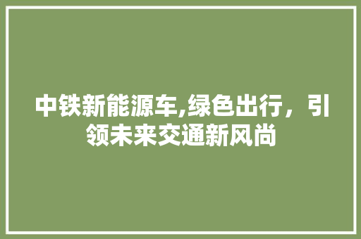 中铁新能源车,绿色出行，引领未来交通新风尚