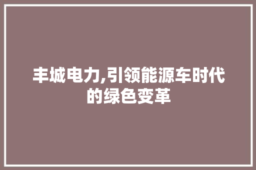 丰城电力,引领能源车时代的绿色变革