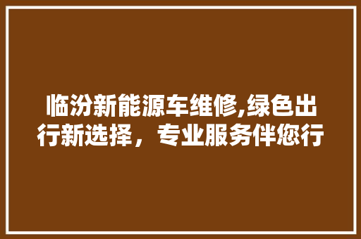 临汾新能源车维修,绿色出行新选择，专业服务伴您行