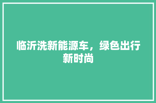 临沂洗新能源车，绿色出行新时尚