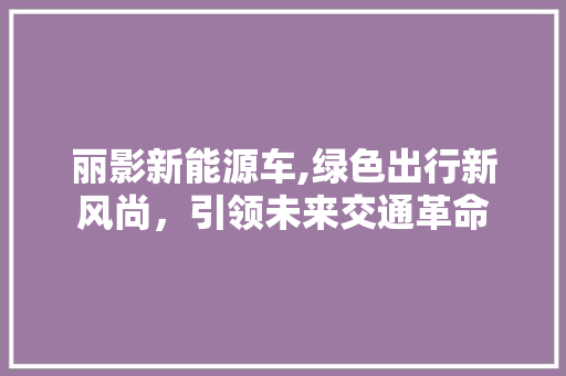 丽影新能源车,绿色出行新风尚，引领未来交通革命