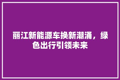 丽江新能源车换新潮涌，绿色出行引领未来