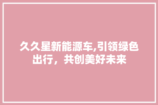 久久星新能源车,引领绿色出行，共创美好未来 车灯配件