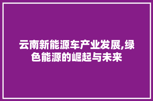 云南新能源车产业发展,绿色能源的崛起与未来