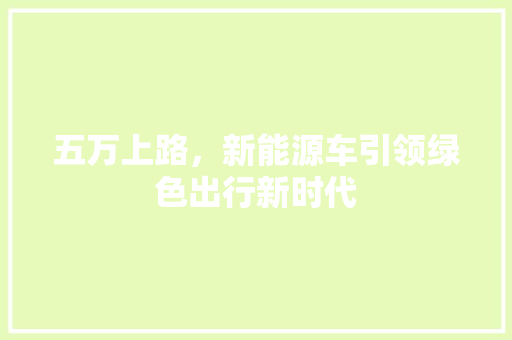 五万上路，新能源车引领绿色出行新时代