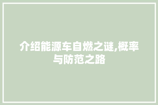 介绍能源车自燃之谜,概率与防范之路