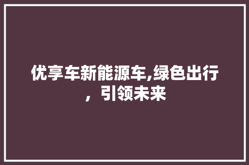 优享车新能源车,绿色出行，引领未来