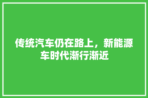 传统汽车仍在路上，新能源车时代渐行渐近