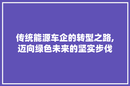 传统能源车企的转型之路,迈向绿色未来的坚实步伐