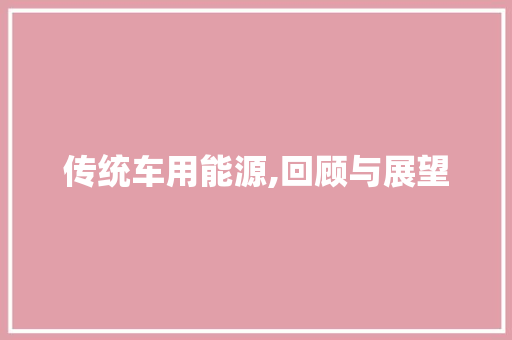传统车用能源,回顾与展望