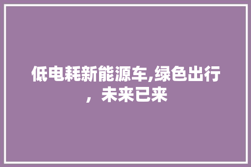 低电耗新能源车,绿色出行，未来已来