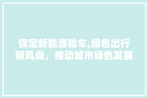 保定新能源验车,绿色出行新风尚，推动城市绿色发展