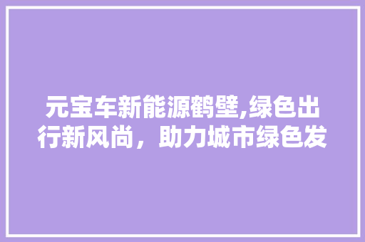 元宝车新能源鹤壁,绿色出行新风尚，助力城市绿色发展