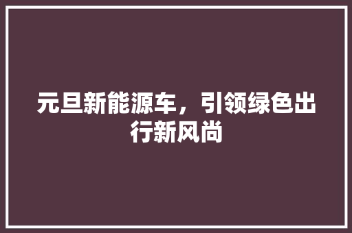 元旦新能源车，引领绿色出行新风尚