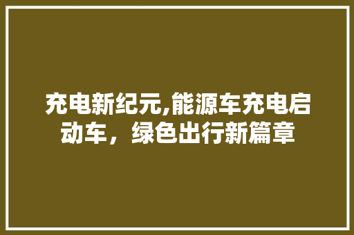 充电新纪元,能源车充电启动车，绿色出行新篇章