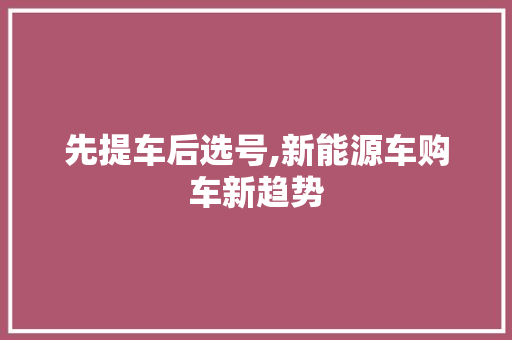 先提车后选号,新能源车购车新趋势