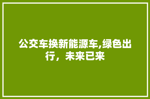 公交车换新能源车,绿色出行，未来已来