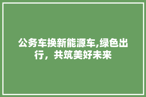 公务车换新能源车,绿色出行，共筑美好未来