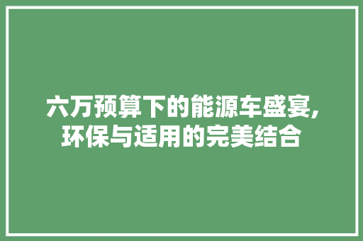 六万预算下的能源车盛宴,环保与适用的完美结合