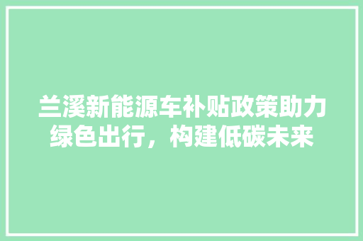 兰溪新能源车补贴政策助力绿色出行，构建低碳未来