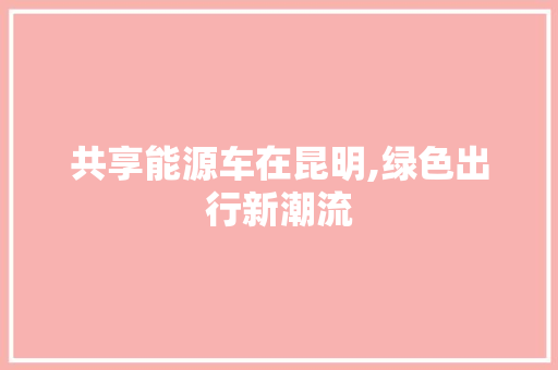 共享能源车在昆明,绿色出行新潮流