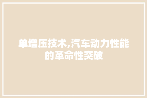 单增压技术,汽车动力性能的革命性突破