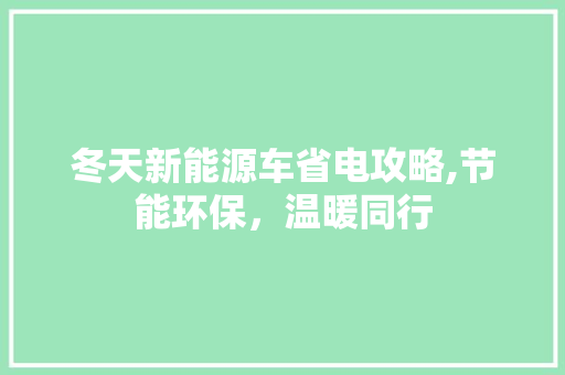 冬天新能源车省电攻略,节能环保，温暖同行