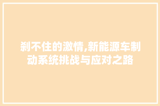 刹不住的激情,新能源车制动系统挑战与应对之路