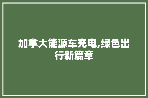 加拿大能源车充电,绿色出行新篇章