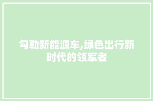 勾勒新能源车,绿色出行新时代的领军者