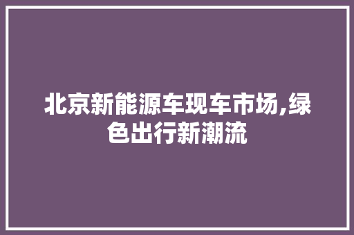 北京新能源车现车市场,绿色出行新潮流